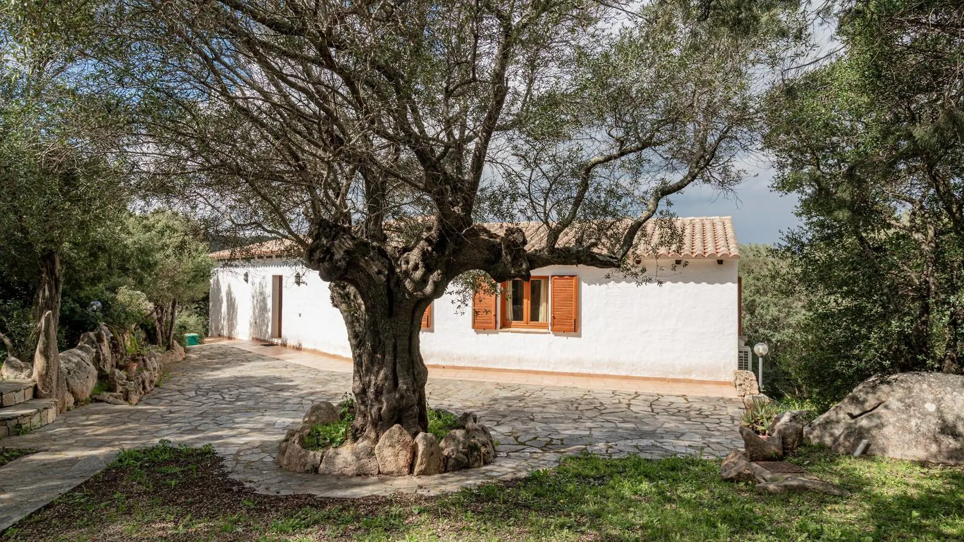 Villa Immersa Nella Natura Con Vista Mare 카니지오네 0*,  이탈리아